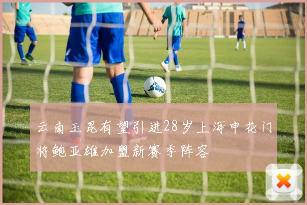云南玉昆有望引进28岁上海申花门将鲍亚雄加盟新赛季阵容