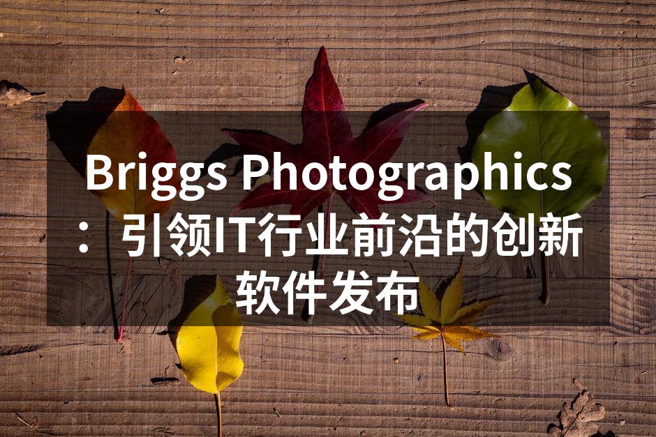 Briggs Photographics团队正在讨论软件功能