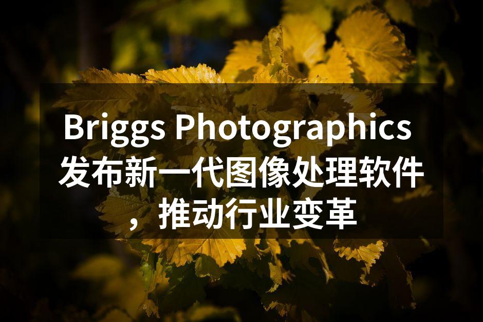 Briggs Photographics 新软件界面展示